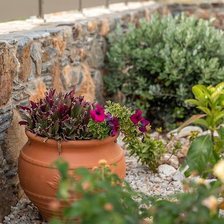 Pink Sand Villas Agios Pandeleimon  外观 照片